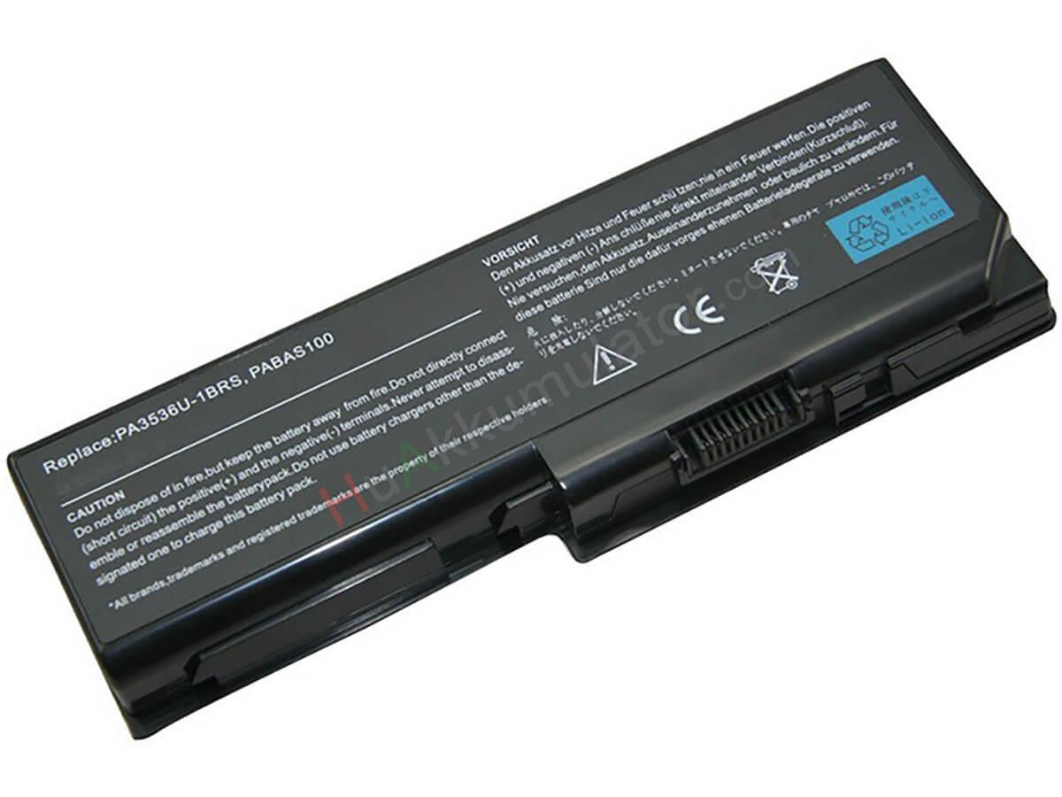 Satellite P205-S7806